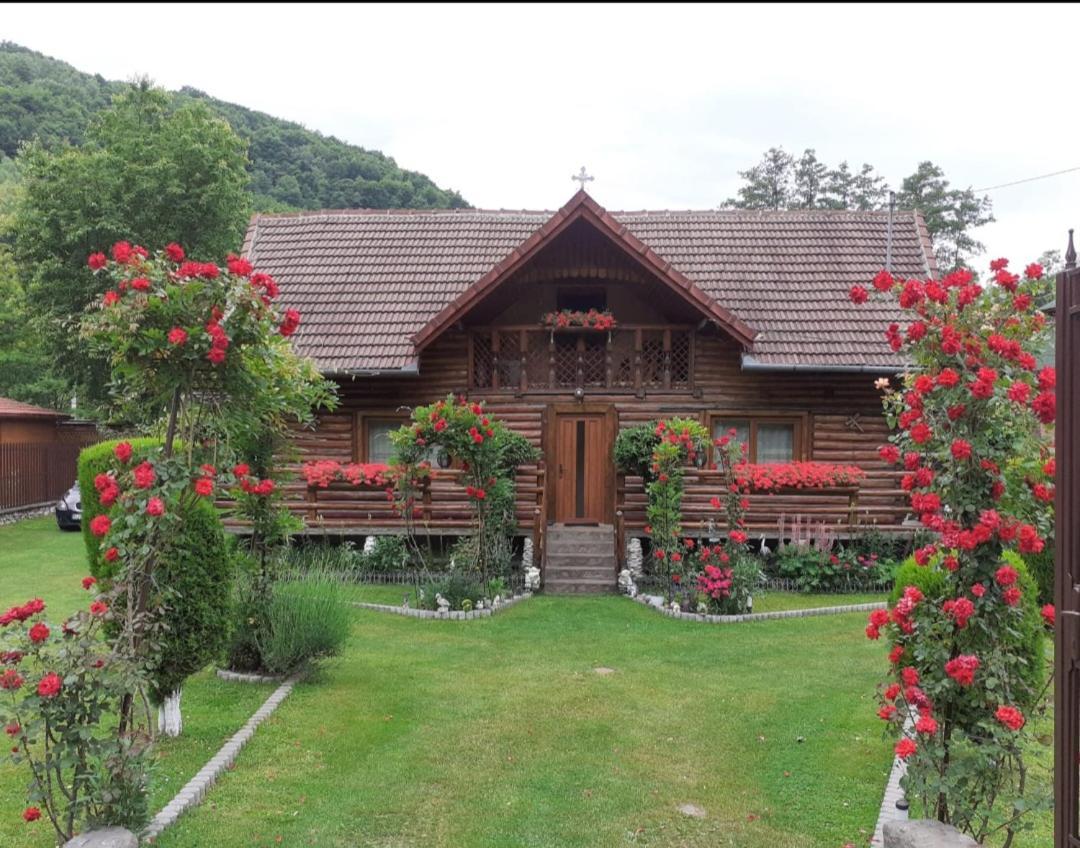 Hotel Casa Bunicii Costeşti Esterno foto